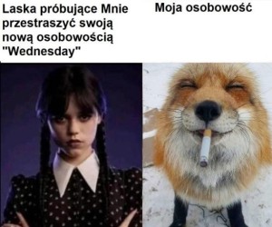 Próbuj śmiało