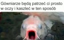 Bezczelność