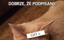 Dobrze, że podpisany