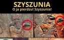 Przedwieczne szyszunie