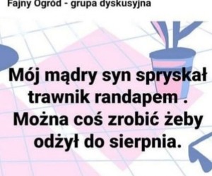 Dla syna nie ma już nadziei