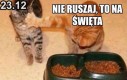 No żryj to