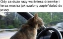 Szybciej tam!