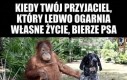 Super pomysł