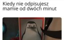 Kowalski, analiza