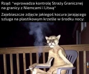 Nomć