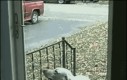 Pies, który nie wejdzie przez zamknięte drzwi