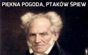 Piękna pogoda, ptaków śpiew