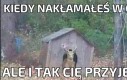 Praca to praca