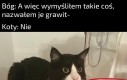 Koty to niegrawitacyjna ciecz