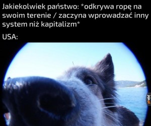 Bronie masowej destrukcji