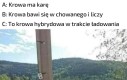 Koło ratunkowe chcecie?
