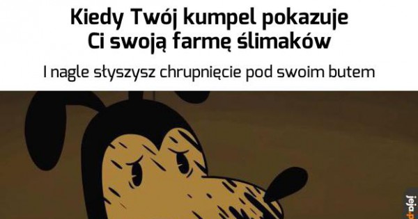 Skad Znasz Nasz Tajny Kod Jeja Pl Skad Znasz Nasz Tajny Kod Jeja Pl