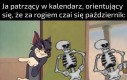 Szkieletory