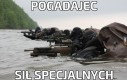 Tytuł szturmuje plaże