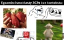 Tak było, nie zmyślam