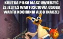 Miał miał