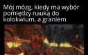 Życie ostre jak miecz z okrawków