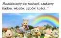 Uważamy żeby w coś nie wdepnąć