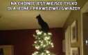 Prawdziwa gwiazda