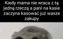 Chyba będę musiał zapłacić nerką