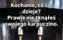Kapuczino