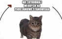 I tak się to kręci