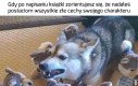A miałem być tym dobrym bohaterem!