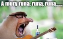 Rury muną