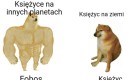 Mało polotu