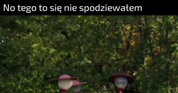 Zaskakujące Jeja.pl