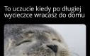 Przyjemność