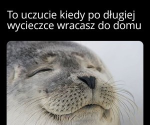 Przyjemność