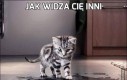 Jak widza Cię inni