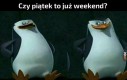 A Ty jak sądzisz?