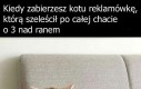 Nie wiem jak ty mi to wynagrodzisz Bożena