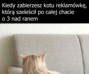 Nie wiem jak ty mi to wynagrodzisz Bożena