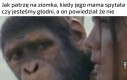 No trudno, to nie zamawiamy capriciosy