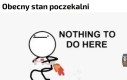 Niestety
