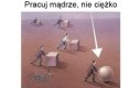 Czytaj jeszcze ze zrozumieniem