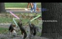 Wiewiórki Jedi