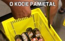 O kocie pamiętał