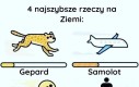 Ale zasuwa