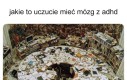Mniej więcej takie