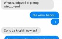 🥟 Pieróg nie pyta, pieróg rozumie