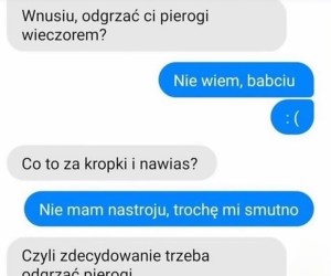 🥟 Pieróg nie pyta, pieróg rozumie