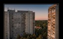 Wiosna