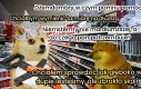 To już?