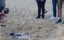 Husky na plaży
