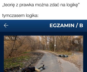 No przecież jej nie ruszę, bo jeszcze krzywdę zrobię